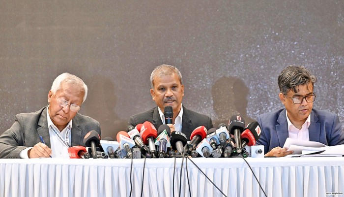 গণভোটের ব্যালট হবে ভিন্ন রঙের, শিগগিরই গেজেট