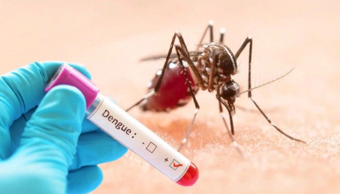​ডেঙ্গুতে আরও ৩ মৃত্যু, হাসপাতালে ৫৬৫