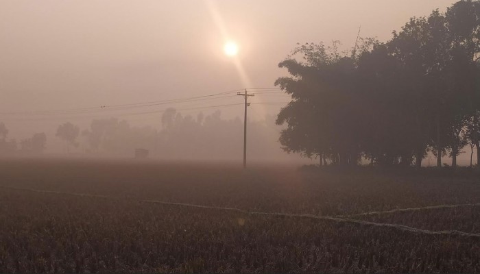 শীতে কাপছে উত্তরাঞ্চল: সর্বনিম্ন তাপমাত্রা পঞ্চগড়ে