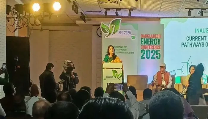 রাজনৈতিক সরকার যা পারে আমরা তা পারি না: উপদেষ্টা রিজওয়ানা