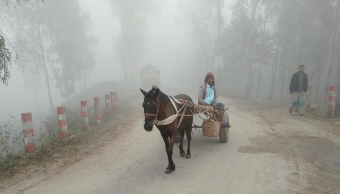 ​শীতে কাঁপছে উত্তরের মানুষ