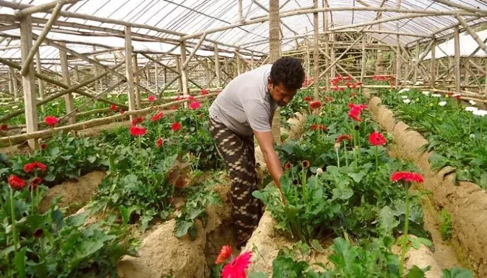 পাঁচ দিবসে শতকোটি টাকার ফুল বিক্রির টার্গেট