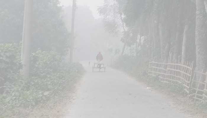 ​৯ ডিগ্রিতে নামল চুয়াডাঙ্গার তাপমাত্রা, ঘন কুয়াশায় বিপর্যস্ত জনজীবন