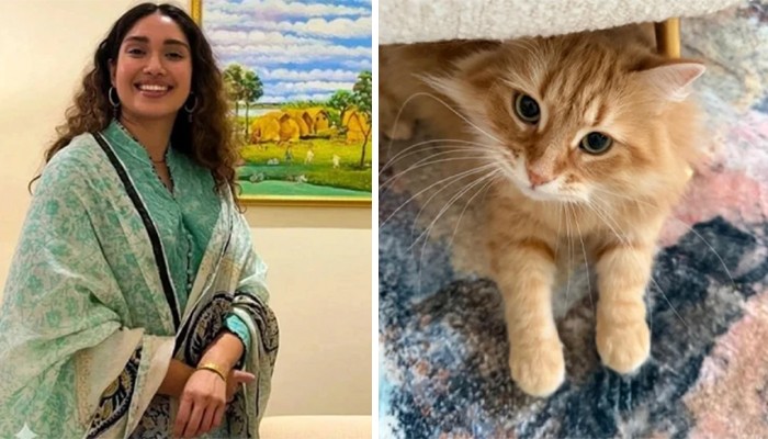 ​জেবুকে ঘিরে এত কৌতূহল দেখে মজা পাচ্ছি: জাইমা রহমান