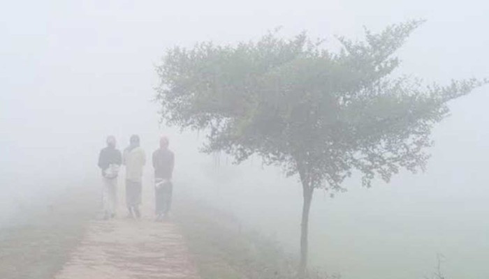 ​৪৪ জেলায় শৈত্যপ্রবাহ চলছে, অব্যাহত থাকার আভাস