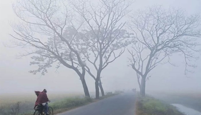 বৃহস্পতিবার থেকে ​কোথাও কোথাও তাপমাত্রা ৫ ডিগ্রিতে নামতে পারে