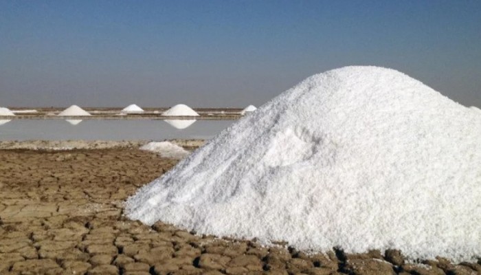 ​১ লাখ টন লবণ আমদানির অনুমতি পেলো ২৪৭ প্রতিষ্ঠান
