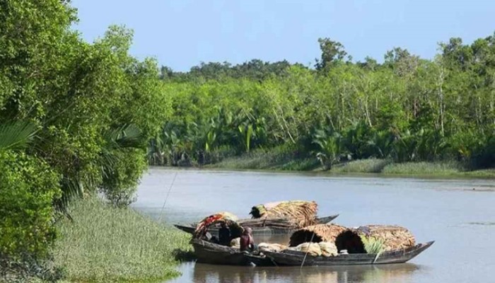 ​সুন্দরবনে মাছ ধরার সময় ১৯ জেলেকে অপহরণ