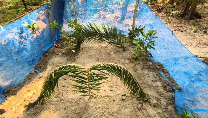 ​পাশাপাশি কবরে দাফন হলো কারাবন্দি সাদ্দামের স্ত্রী-সন্তানের