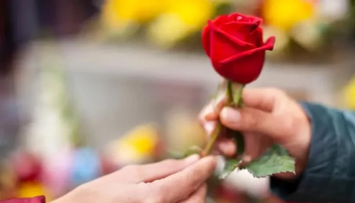 ​আজ বিশ্ব গোলাপ দিবস