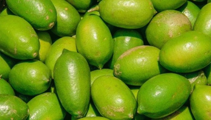 ​শ্রীমঙ্গলে লেবুর হালি ২০০ টাকা