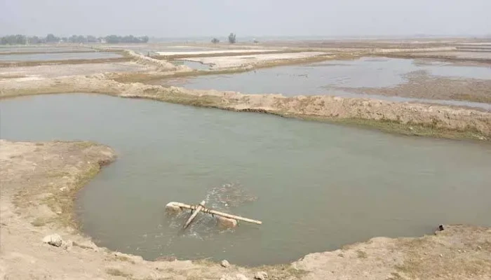 ​ফসলি জমিতে নতুন করে লোনা পানির আগ্রাসন