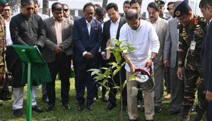 নিজ কার্যালয়ে গাছ লাগালেন তারেক রহমান