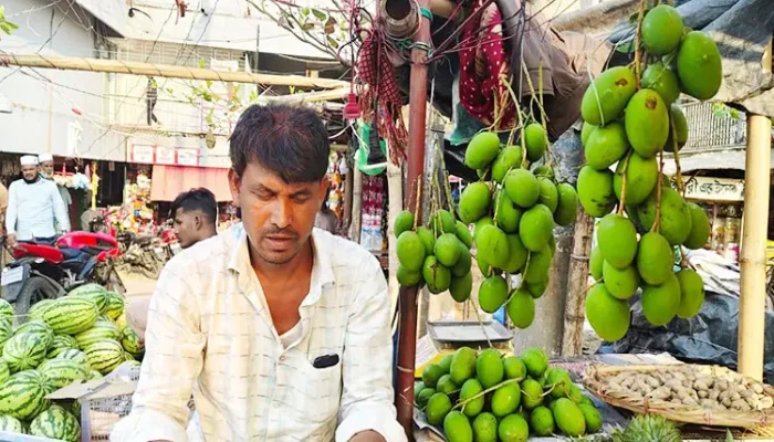 ​বাজারে অসময়ে কাঁচা আম, কেজি ৫৫০ টাকা