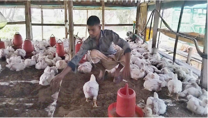 সমন্বিত খামারে বদলে গেছে সজীবের জীবন