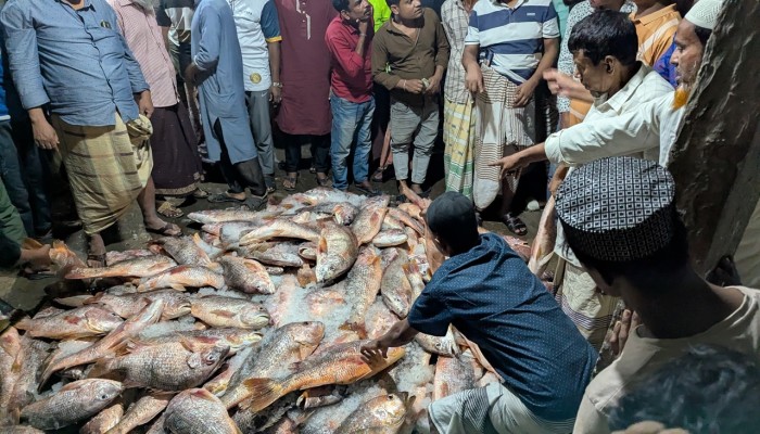 ​সেন্টমার্টিনের কাছে ধরা পড়ল ৬ হাজার কেজি লাল কোরাল
