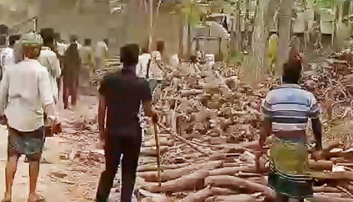 রণক্ষেত্র শৈলকুপা, আহত ১৫