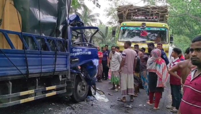 ​পিকআপ-ট্রাক সংঘর্ষে দুই শিশুসহ আহত ৮