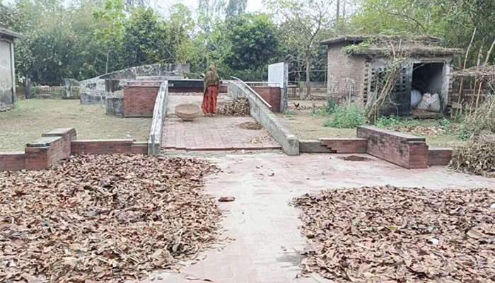 গণকবরে শুকানো হচ্ছে ধান-চাল, রাতে মাদকের আড্ডা
