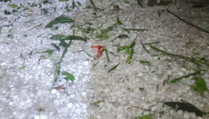 কালবৈশাখীর কবলে নীলফামারী: শিলাবৃষ্টিতে ফসলের ব্যাপক ক্ষতি