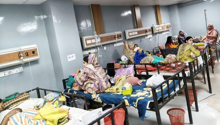 হামের ছোবলে দিশেহারা দেশ