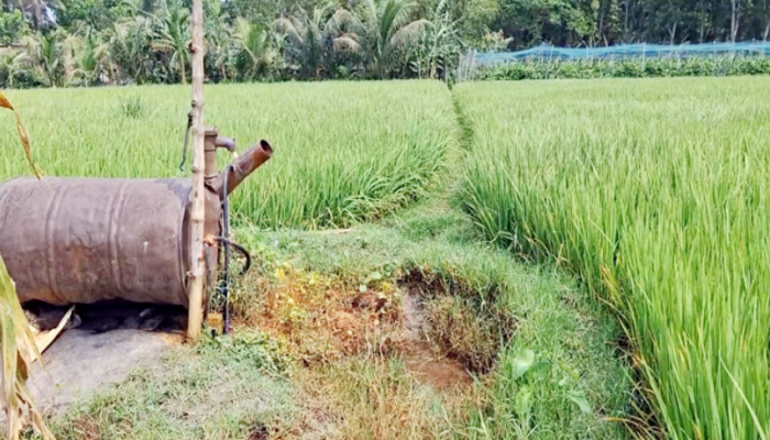 বিপাকে ঝিনাইদহের ৬০ হাজার সেচপাম্প নির্ভর চাষিরা