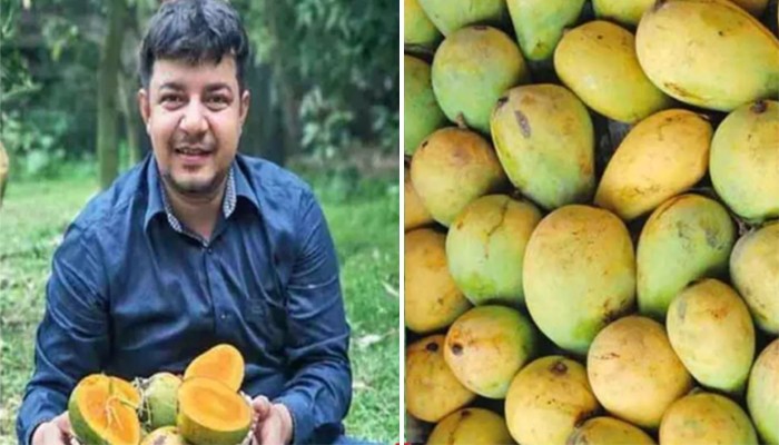 ​আমের ভুয়া অর্ডার পেয়ে জামায়াতকে দুষলেন তারেক রহমান