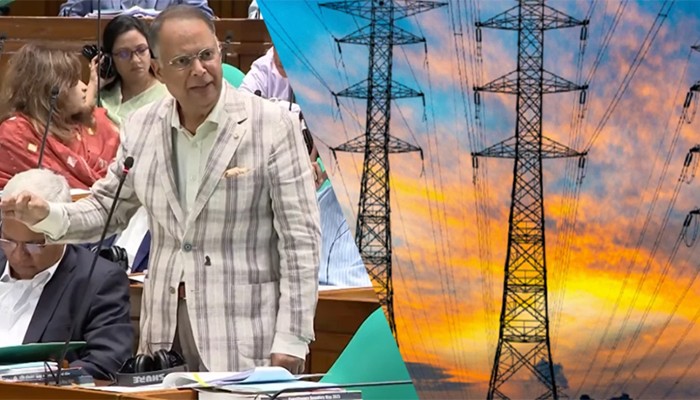 দেশে বিদ্যুতের কোনো ঘাটতি নেই: বিদ্যুৎমন্ত্রী