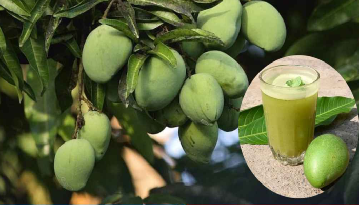 গরমে স্বস্তি পেতে কাঁচা আমের বিকল্প নেই!