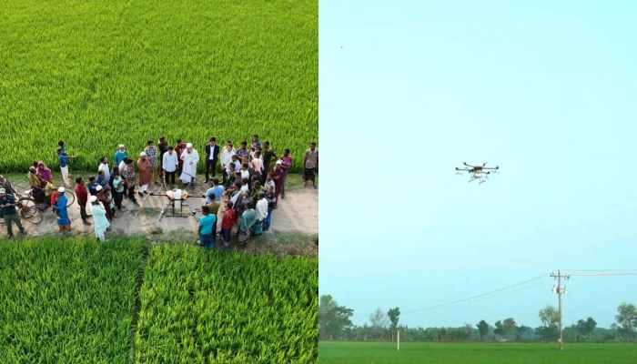 কৃষিতে নতুন যুগের সূচনা