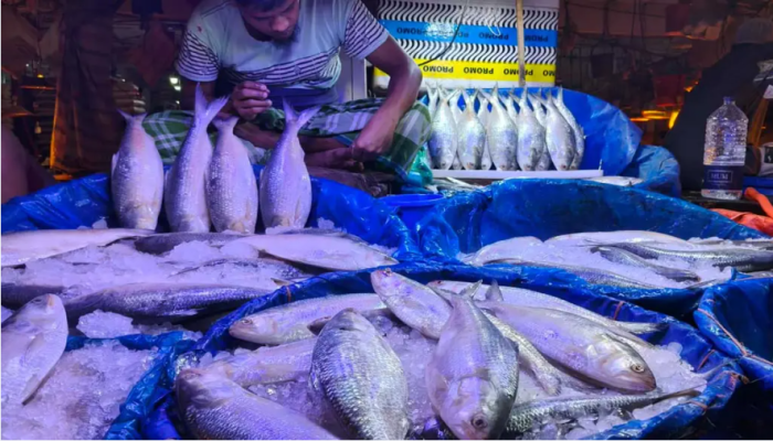 পহেলা বৈশাখ: নাগালের বাইরে ইলিশ