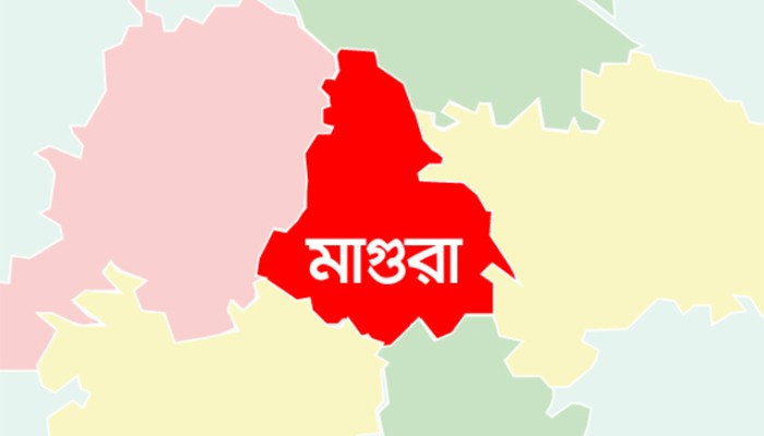 মহম্মদপুরে ৫৬০০ লিটার তেলসহ পিকআপ জব্দ
