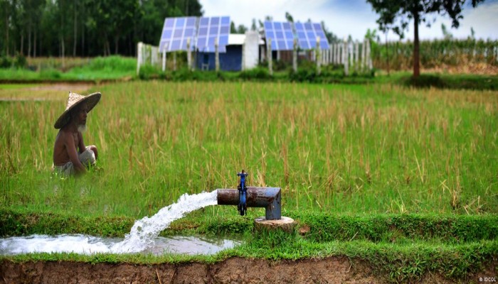 কৃষিতে দারুণ সম্ভাবনা : সাশ্রয় হবে ২৫ হাজার কোটি টাকা