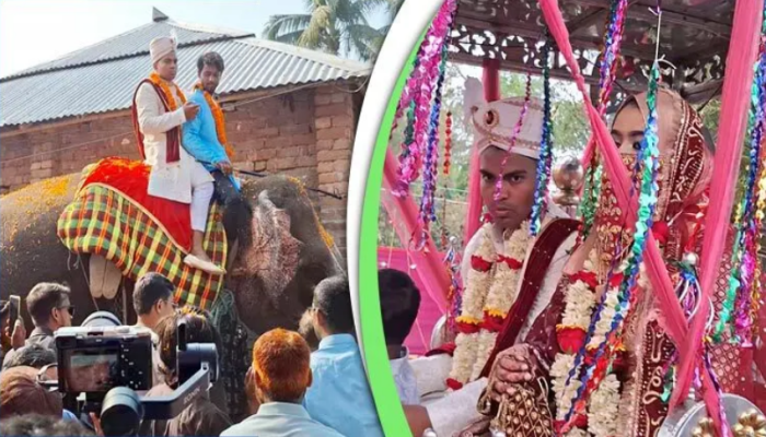 হাতি ঘোড়ার পিঠে চড়ে বিয়ে!