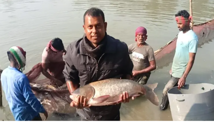 ৮০ লাখ টাকার মাছ বিক্রির আশা ইন্দ্রজিতের