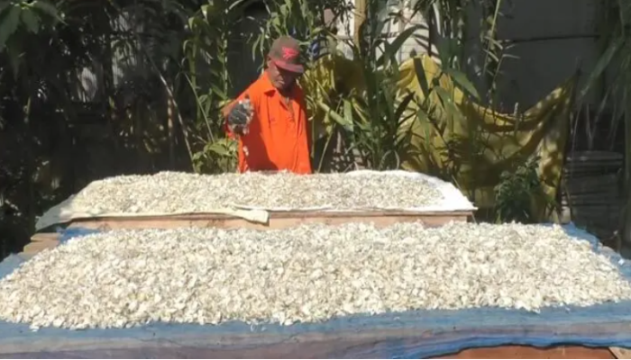 মাছের আঁশ রপ্তানি করে আসছে লাখ টাকা