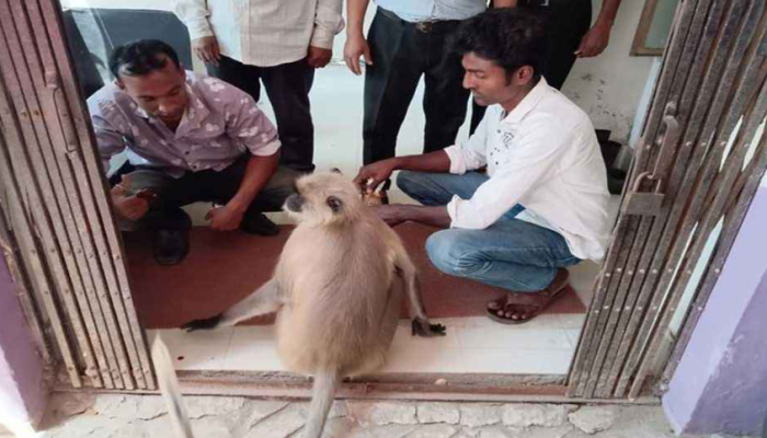 চিকিৎসার জন্য নিজেই হাসপাতালে হাজির
