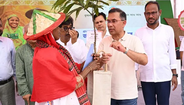 ​আম যখন ধরবে, জাম যখন ধরবে; আমি খাবো, আমাকে পাঠাবেন: প্রধানমন্ত্রী