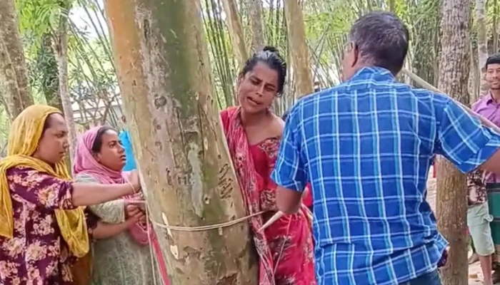 করলা চুরির অভিযোগে স্ত্রীকে গাছে বেঁধে পেটালেন স্বামী