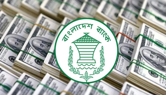 ​বৈদেশিক মুদ্রার রিজার্ভ ৩৪ বিলিয়ন ডলার ছাড়াল