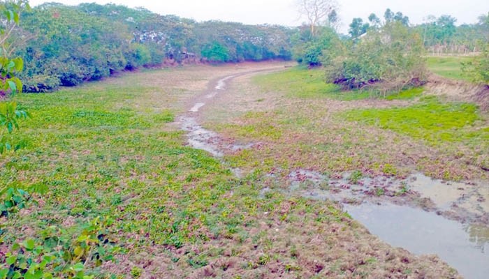 ৩০০ কৃষক পরিবারের রাতের ঘুম হারাম!