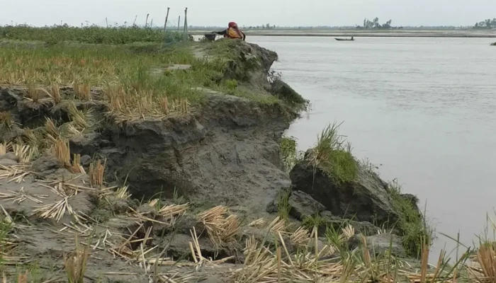 ভাঙন আতঙ্কে তিস্তা পাড়ের মানুষ