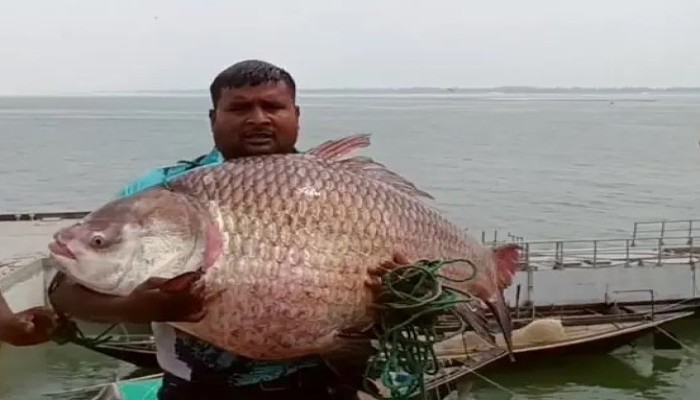 এক কাতলে ৬৮ হাজার!