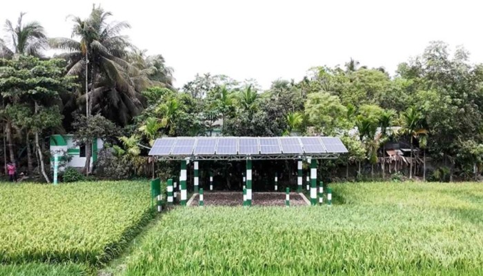 জ্বালানি সংকট কাটাতে সৌরবিদ্যুতের ব্যবহার বাড়ছে