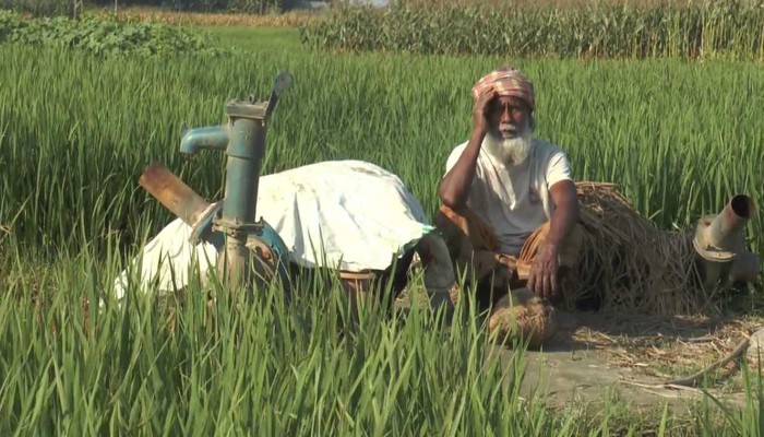 জ্বালানি সংকটে চরাঞ্চলে ব্যাহত সেচ কার্যক্রম, ফসল নিয়ে দুশ্চিন্তায় কৃষকরা