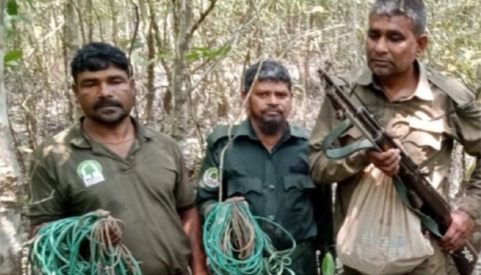 ​সুন্দরবনে ৪১টি হরিণ শিকারের ফাঁদ জব্দ