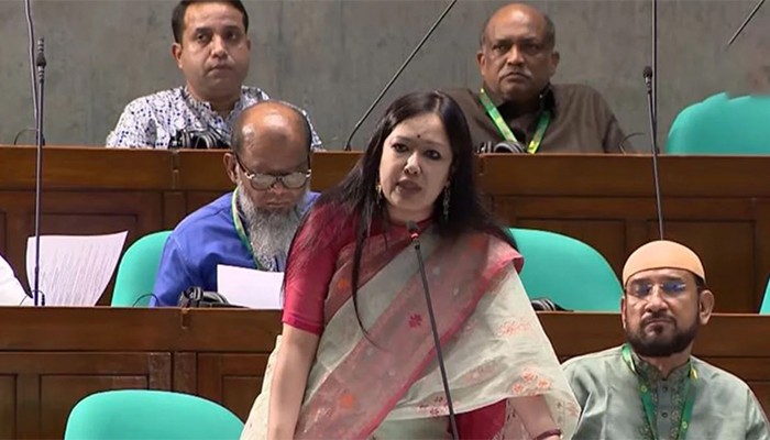 ঢাকায় ১-২ ঘণ্টা লোডশেডিং, গ্রামে ১৪ ঘণ্টা: রুমিন ফারহানা