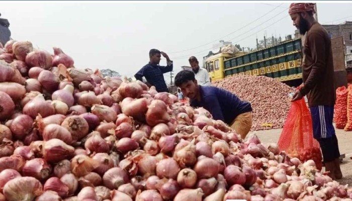 বাম্পার ফলনে পেঁয়াজে স্বয়ংসম্পূর্ণতার পথে দেশ