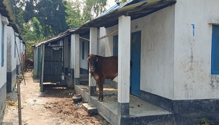 চুরি যাচ্ছে দরজা-জানালা, দুর্ভোগে বাসিন্দারা