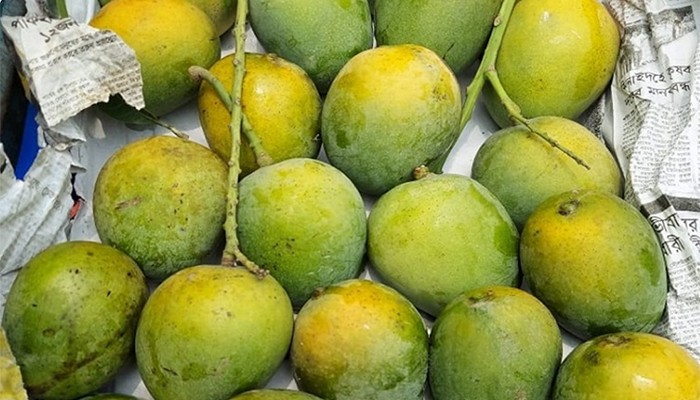 ​সাতক্ষীরায় আম ক্যালেন্ডার ঘোষণা